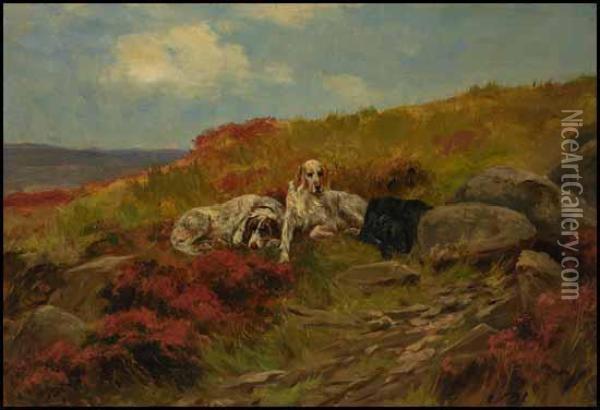 Three Setters Resting By A Path Oil Painting - Thomas Blinks