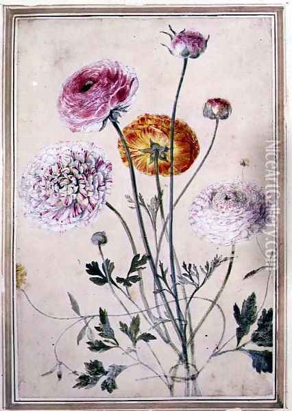 Flower Study, c.1760 Oil Painting - Thomas Robins