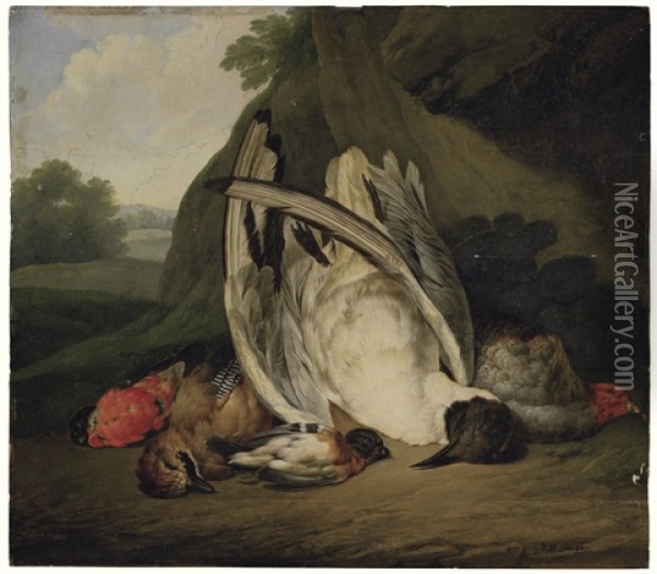 Still Life Of Assorted Dead Birds Including A Bullfinch, A Jay, A Black Headed Gull And A French Partridge Oil Painting - Michael Johann Schnitzler