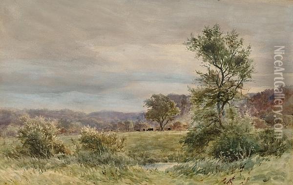 The Vale Of Llanwot Oil Painting - Colin H. Greenwood