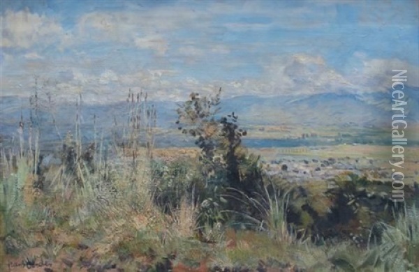Landscape Near Tzaneen Oil Painting - Frans David Oerder