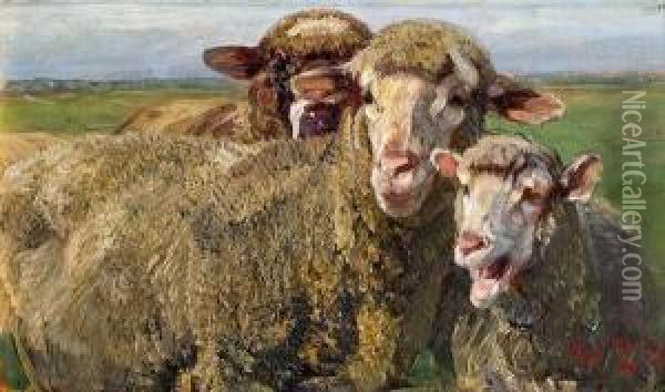 Drei Schafe Oil Painting - Heinrich Johann Von Zugel