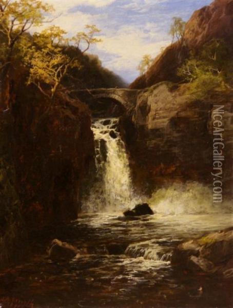 Waterfall Near Bridge Oil Painting - James Burrell-Smith