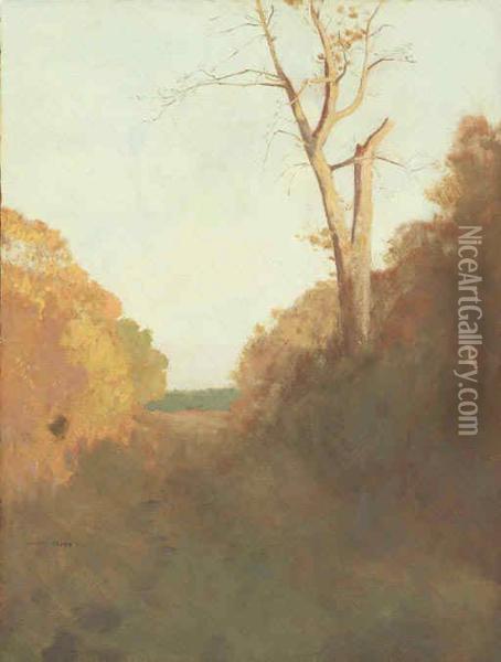 Paysage, Arbre Au Bord D'un Chemin Oil Painting - Odilon Redon