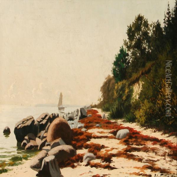 Seashore Oil Painting - Johan Peter Eggers