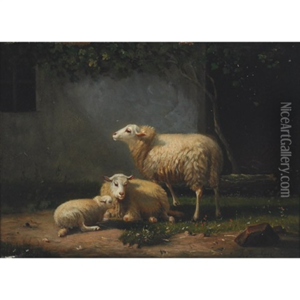 Sheep In A Farmyard (+ Sheep In A Pasture; 2 Works) Oil Painting - Auguste (Francois Auguste) Bonheur