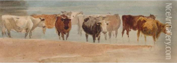 Cattle In A Stream Oil Painting - David I Cox