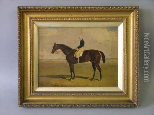 'tranby' ;racehorse With Jockey Up Signed And Dated 1835 9 X 12in Oil Painting - John Frederick Herring Snr