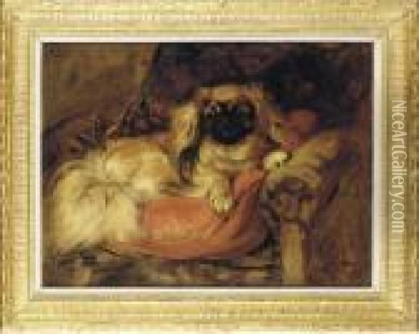 A Pekingese On A Red Cushion Oil Painting - William Walls
