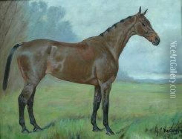 'nemesis' Portrait Of A Chestnut Hunter Oil Painting - George Paice