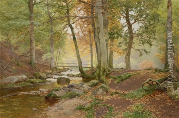 Sonnendurchflutete Waldlandschaft Oil Painting - Heinrich Boehmer