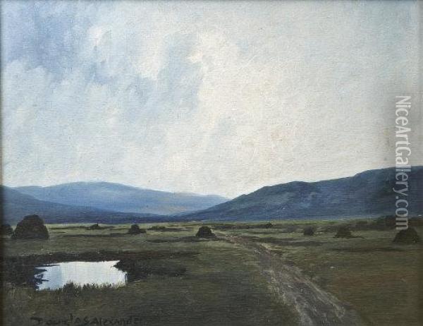 Bog Landscape Donegal Oil Painting - Douglas Alexander