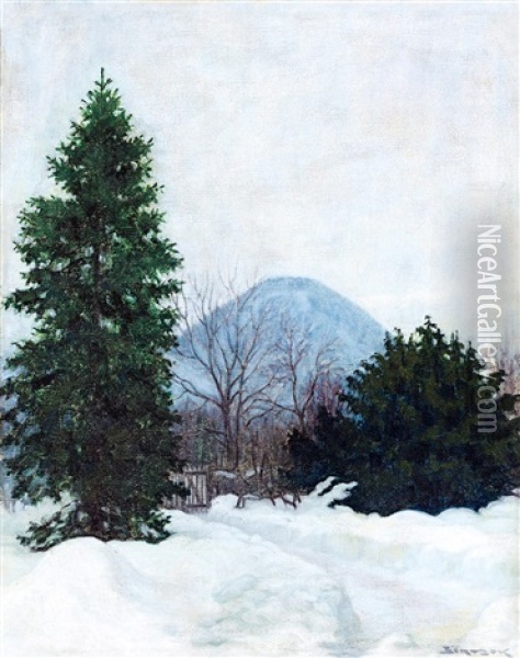 Winter Iin Nagybanya Oil Painting - Samu Boertsoek