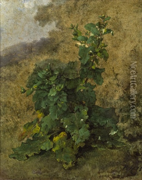 Pflanzenstudie Oil Painting - Remigius Adrianus van Haanen