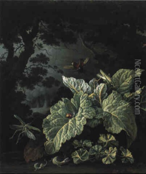 Nature Morte De Sous-bois Avec Sauterelles, Scarabee Au Clair De Lune Oil Painting - Elias van den Broeck