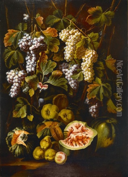 A Still Life With Fruit Oil Painting - Michelangelo di Campidoglio