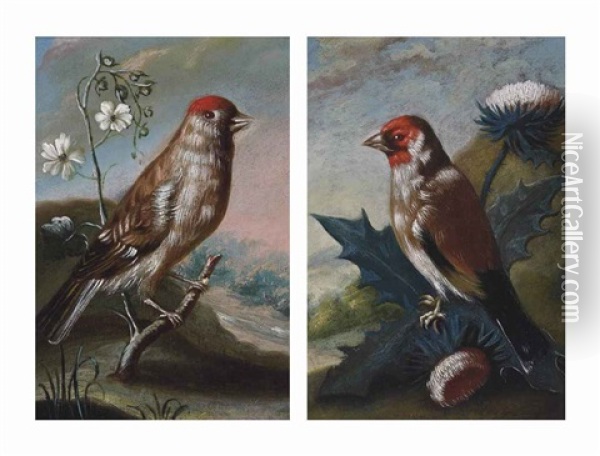 A Finch In A Landscape (+ A Finch On A Thistle In A Landscape; Pair) Oil Painting - Johann Adalbert Angermayer