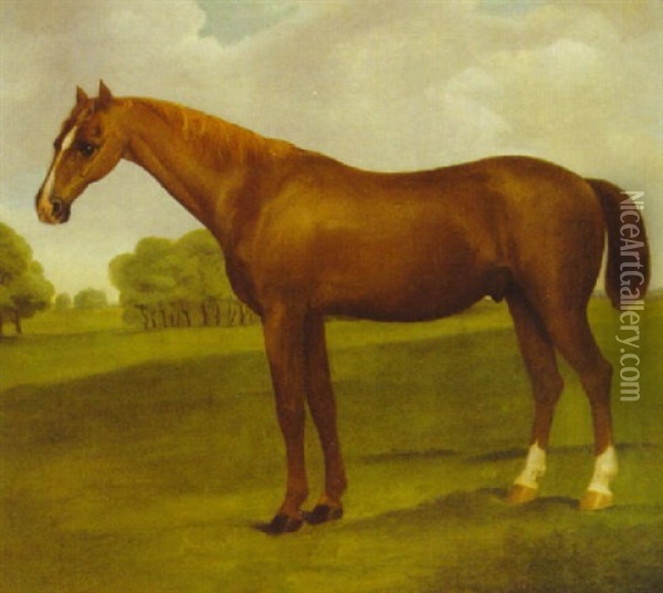 A Chestnut Racehorse In An Extensive Landscape Oil Painting - Thomas Bardwell