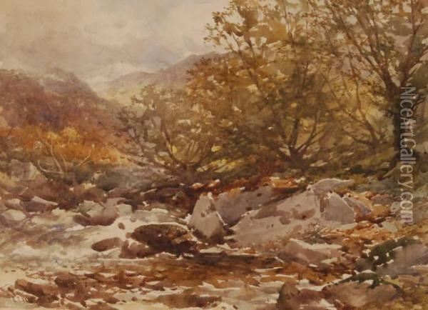 Highland Stream Oil Painting - Frederick John Widgery