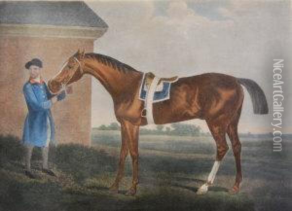 Kelly Esq Was Bred By The Late D. Of Cumberland & Was Bou Oil Painting - George Stubbs