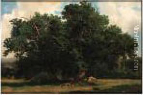 Oak Trees - A Study Oil Painting - Alexandre Calame