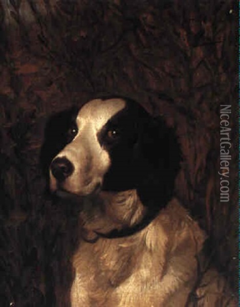 Portrait Of A Spaniel Oil Painting - Jean-Leon Gerome