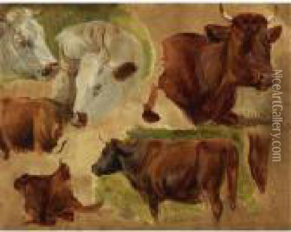 Studies Of Standing Bulls Oil Painting - Rosa Bonheur