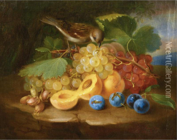 Still Life With Fruits And Birds Oil Painting - George Forster