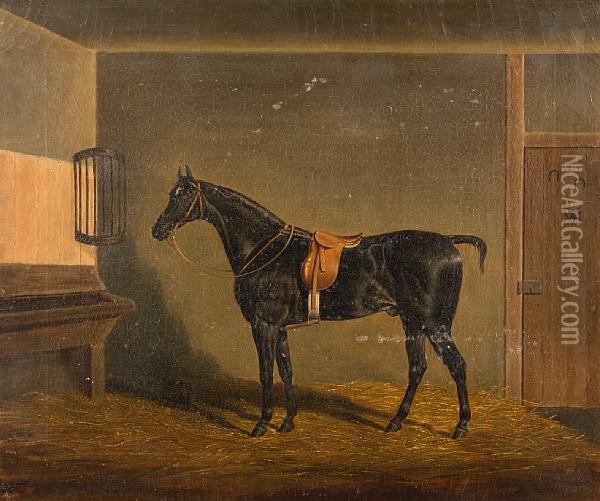 A Saddled Black Hunter In A Stable Oil Painting - James Loder Of Bath