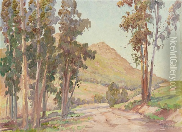 Eucalyptus In Moosa Canyon Oil Painting - Charles Arthur Fries