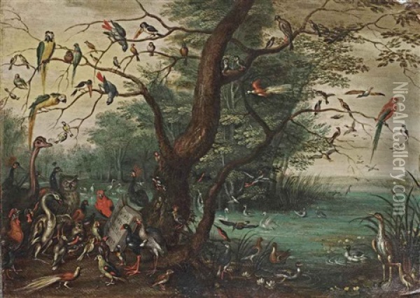 A Concert Of Birds Oil Painting - Jan Brueghel the Elder