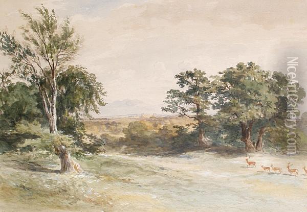 Deer In Windsor Park Oil Painting - James William Giles