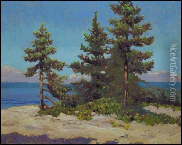 Spruce Point, Georgian Bay Oil Painting - Franz Hans Johnston