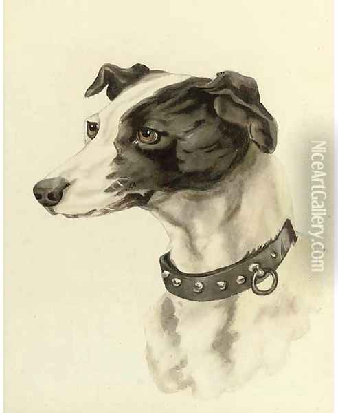 Portrait of a whippet Oil Painting - Edwin Loder