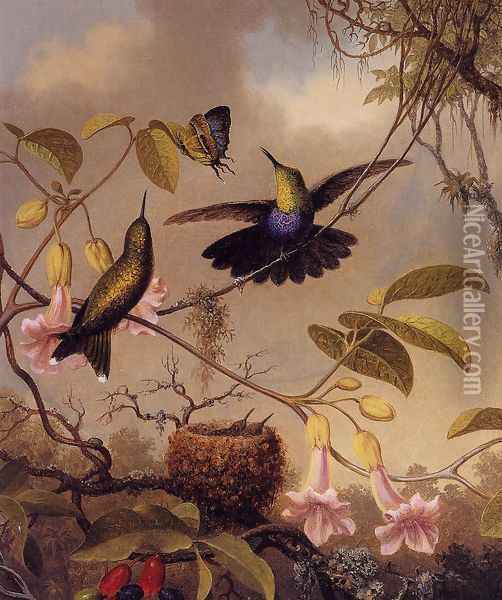 Fort Tailed Woodnymph Oil Painting - Martin Johnson Heade