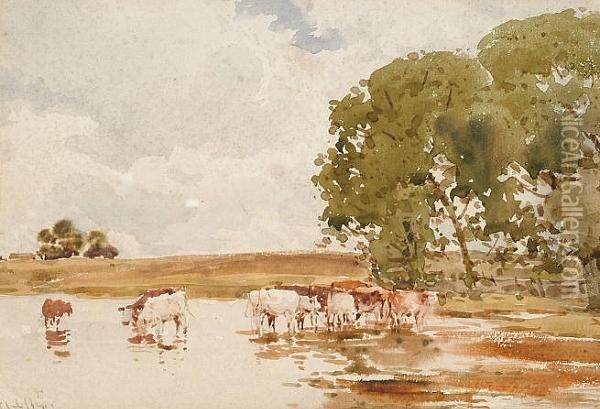 Cattle Watering Oil Painting - Claude Hayes