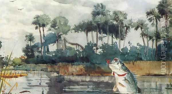 Black Bass, Florida Oil Painting - Winslow Homer