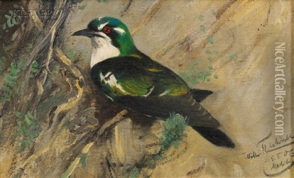 Perched Bird Oil Painting - Wilhelm Friedrich Kuhnert