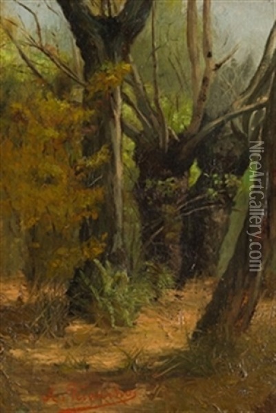 Bosque Oil Painting - Agustin Riancho Y Mora