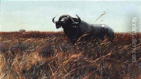 Kafferbuffel Sichernd Oil Painting - Wilhelm Friedrich Kuhnert
