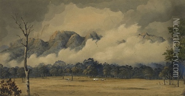 Bucket Mountains, Gloucester, New South Wales Oil Painting - Alfred Sharpe