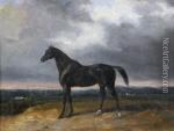Un Cheval Bai Dans Un Paysage Oil Painting - Edouard Bernard Swebach