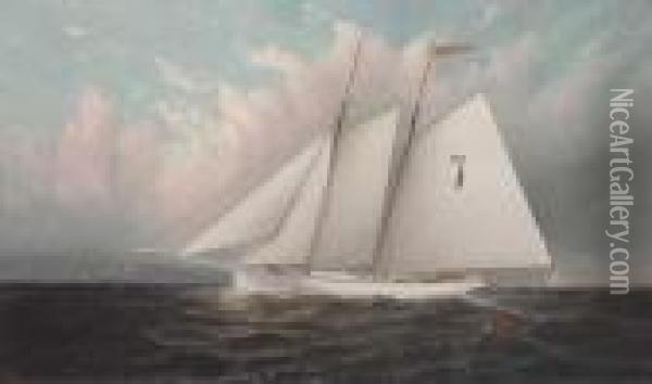 Centennial Pilot Boat #7 Oil Painting - Elisha (Taylor) Baker