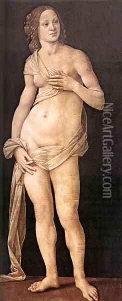 Venus 1493-94 Oil Painting - Lorenzo Di Credi