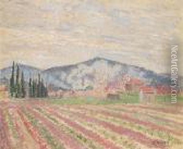 Cypress And Vines Le Lavandou Oil Painting - Lucien Pissarro