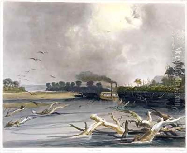 Snags (sunken trees) on the Missouri Oil Painting - Karl Bodmer