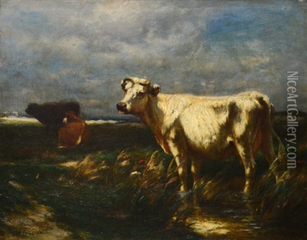 Cows By The Sea (probably Lyme, Ct Marshes) Oil Painting - Carleton Wiggins