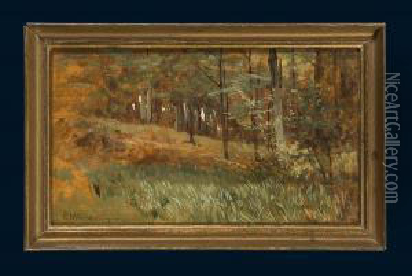 Waldlandschaft Oil Painting - Eduard Weichberger