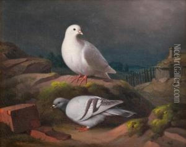 Doves On A Cliff Oil Painting - Ferdinand Wilhelm Von Wright