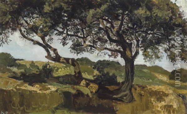 Paysage D'algerie I (1897-1898) Oil Painting - Henri Evenepoel